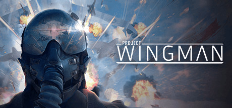僚机计划/Project Wingman（更新v2.1.1）-小树基地