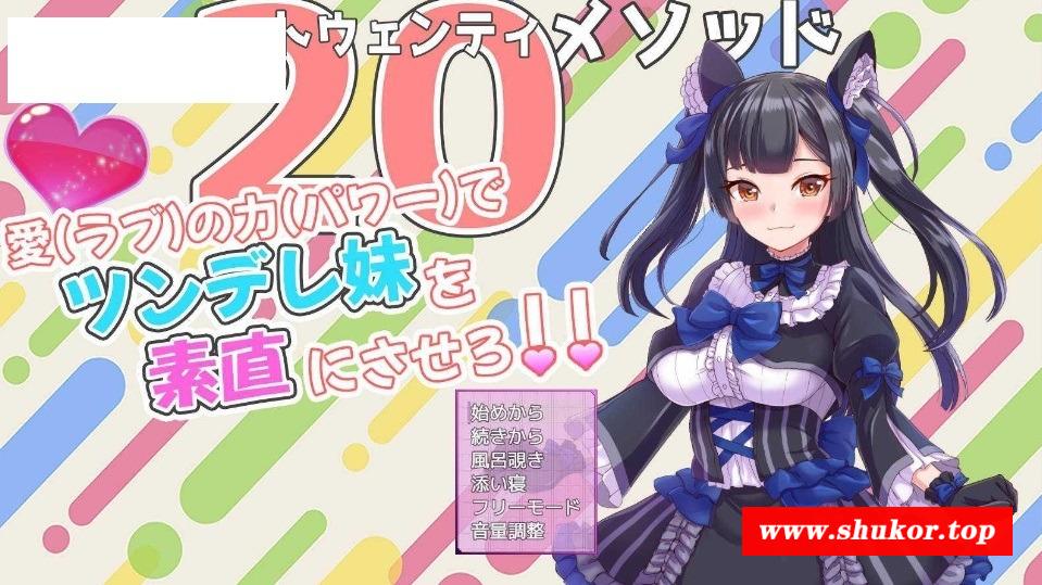 [PC-SLG游戏] [SLG/汉化/动态] トゥエンティメソッド V2 AI汉化 [427M/BD][ajmmcm]-小树基地