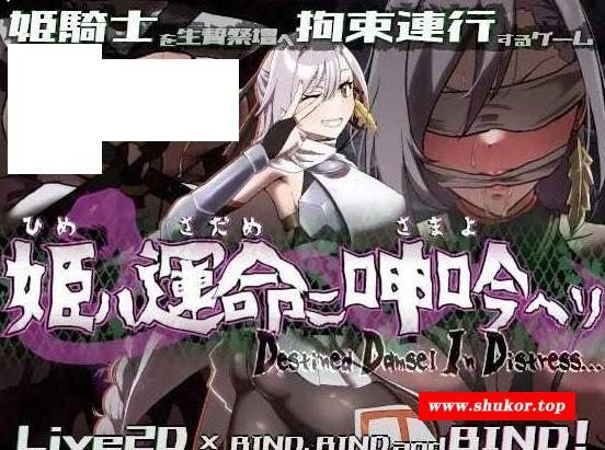 [PC-SLG游戏] [SLG/PC] 姬在命运中呻吟 姫ハ運命ニ呻吟ヘリ Destined Damsel In Distress [BD/455M][MYSY63]-小树基地