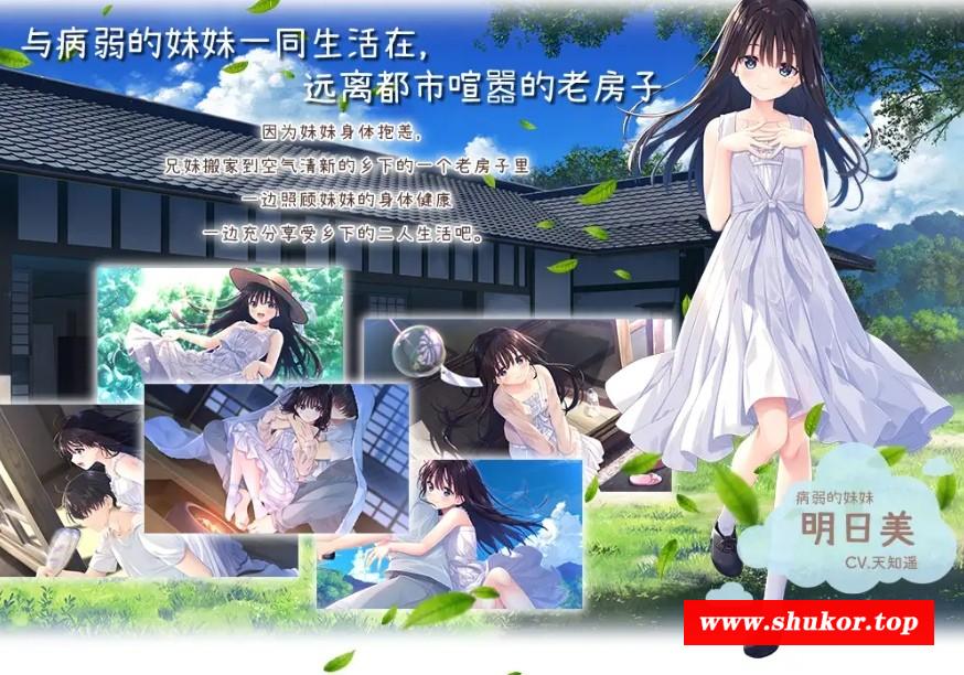 [PC-RPG游戏] [RPG/PC/官中] 痴情哥哥与病弱妹妹的乡间生活 官方中文版 [2.7G/百度][BRMM63]-小树基地
