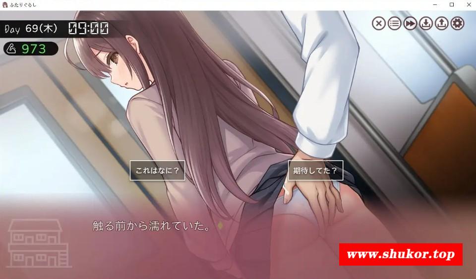 图片[4]-[PC-SLG游戏] [SLG/PC/AI汉化] 两人生活 ふたりぐらし Ver1.1.2 [3.3G/百度][LRSH63]