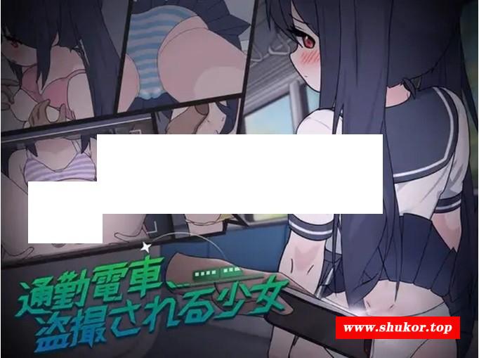 图片[2]-[PC-SLG游戏] 【SLG/机翻/动态】通勤电车、被偷拍的少女/通勤电车、被偷拍的少女 【1.1G】[tongqin]